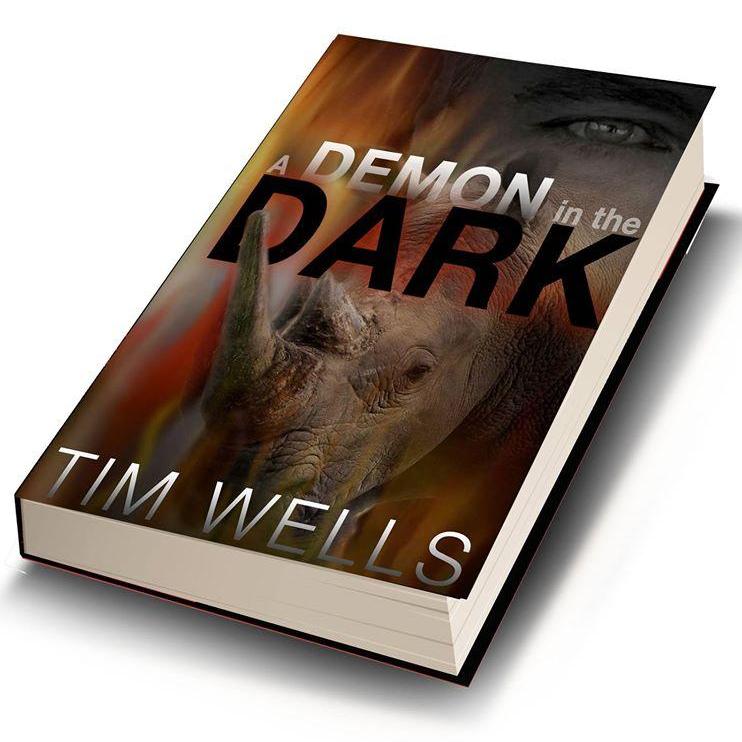 A Demon in the Dark (Paper Back)